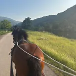 Ranch Jajce Вилла *