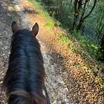 Ranch Jajce Villa *