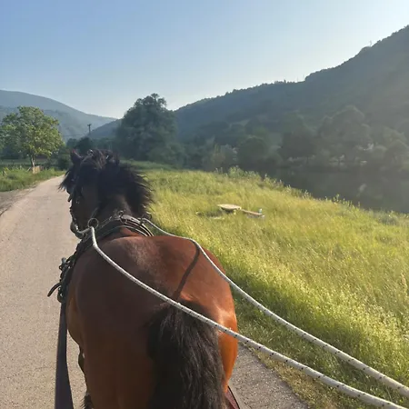 Ranch Jajce וילה *