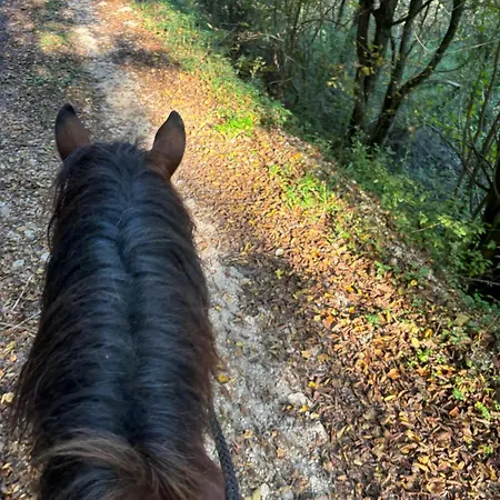 Ranch Jajce Βίλα *